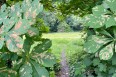 Images for Portsmouth Road, Thames Ditton