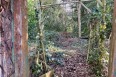 Images for Foxwarren, Esher
