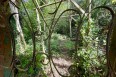 Images for Foxwarren, Esher