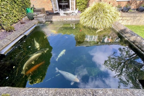 Images for Ruxley Ridge, Esher EAID:MatthewPierce BID:Matthew Pierce