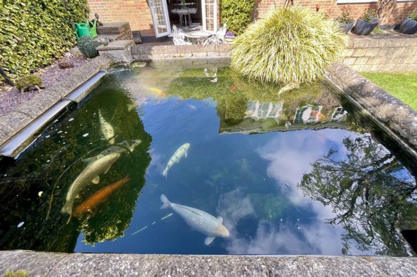 Images for Ruxley Ridge, Esher