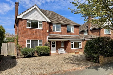 The Avenue, Esher - EAID:MatthewPierce, BID:Matthew Pierce
