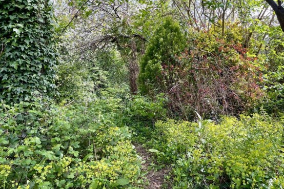 Images for Hare Lane, Esher EAID:MatthewPierce BID:Matthew Pierce