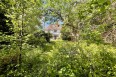 Images for Hare Lane, Esher