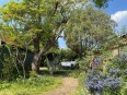 Images for Leigh Road, Cobham