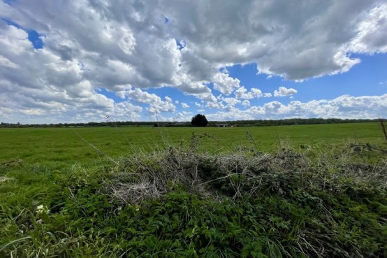 Images for Leatherhead Road, Chessington EAID:MatthewPierce BID:Matthew Pierce