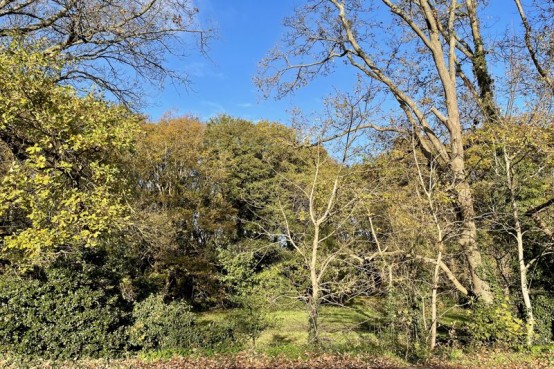 Images for Portsmouth Road, Thames Ditton EAID:MatthewPierce BID:Matthew Pierce