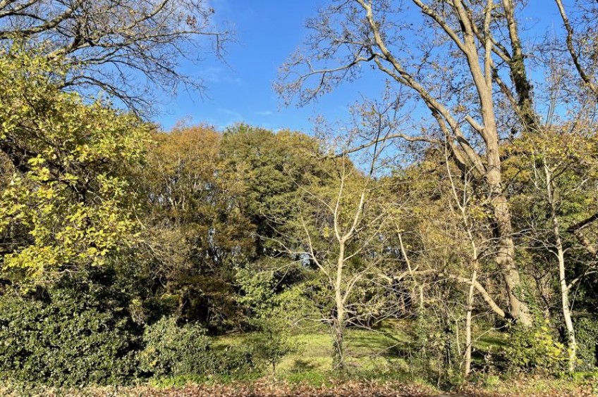 Images for Portsmouth Road, Thames Ditton