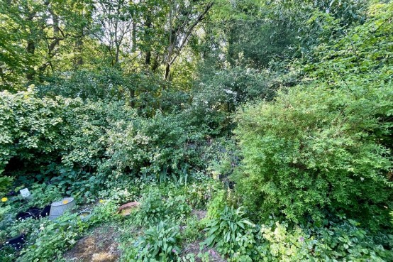 Images for Common Road, Claygate EAID:MatthewPierce BID:Matthew Pierce